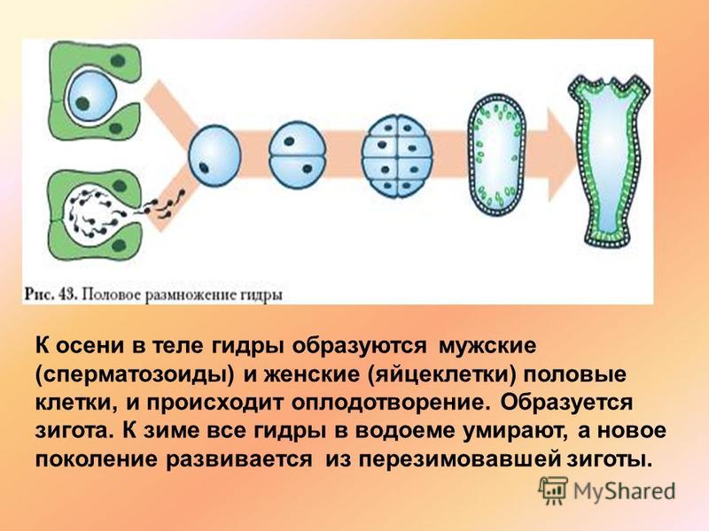 Что с кракеном сегодня сайт